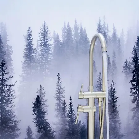 Le Joyau Alsacien - Centre Historique Selestat