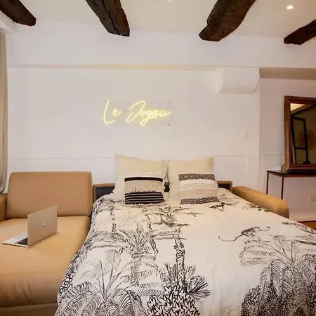 Le Joyau Alsacien - Centre Historique Selestat