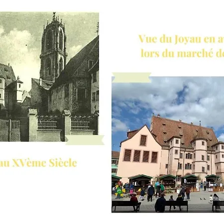 Le Joyau Alsacien - Centre Historique * Sélestat