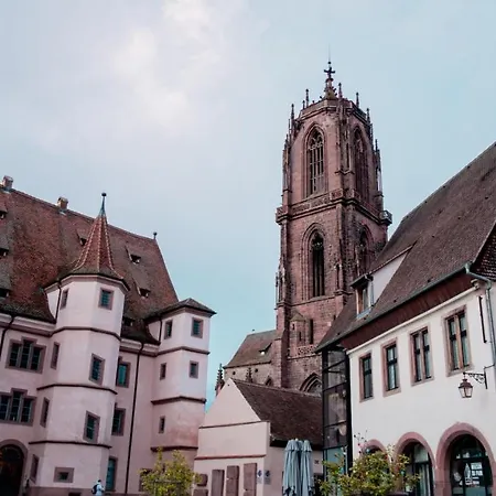 Le Joyau Alsacien - Centre Historique Apartment Selestat