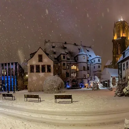 Appartamento Le Joyau Alsacien - Centre Historique