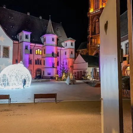 Apartment Le Joyau Alsacien - Centre Historique